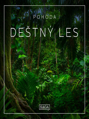 cover image of Pohoda: Deštný les